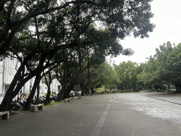 [全臺走路趣尋寶-25/100] 2024_0706_南瀛綠都心公園2546373