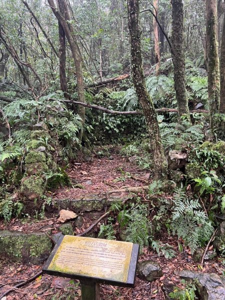 2025-01232淡蘭古道北二段(燦光寮古道到澳底)2696713