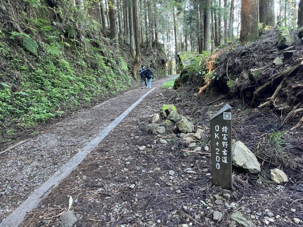 [嘉遊好步道．來嘉走走-06/10] 2024_1012 特富野古道2625195