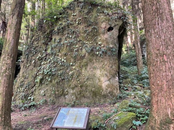 隙頂步道-大凍山1578447