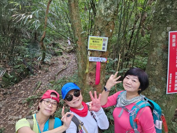 東勢大崙、東勢坑山、觀音湖山O走2986214