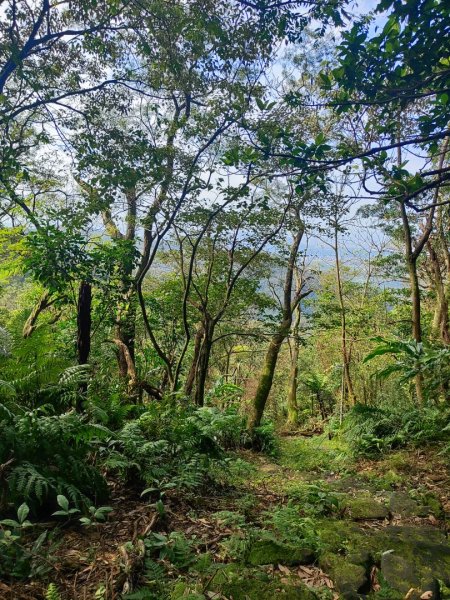 汐止大尖山-秀峰瀑布2684792