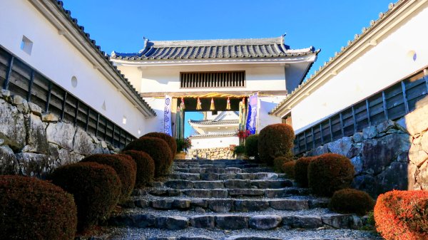 郡上八幡城的白帆2982607