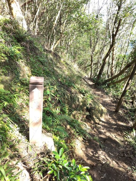 微笑山線：【二格山系】筆架連峰段2963191