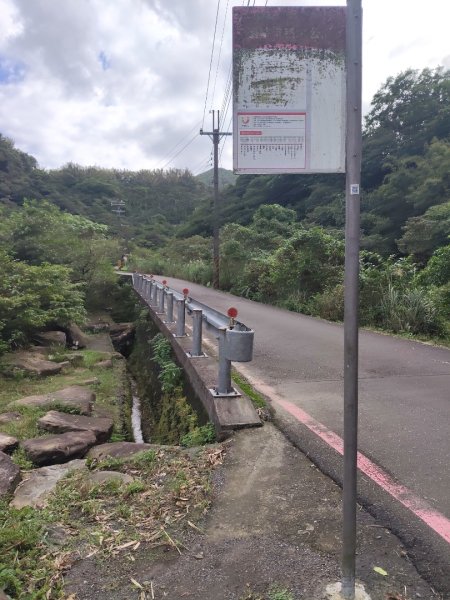 草嶺古道茫草祭2936600