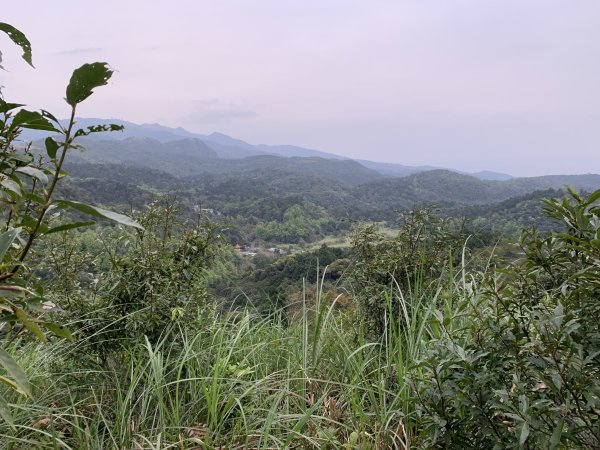 鵲子山（宜蘭礁溪）（小百岳）2530130