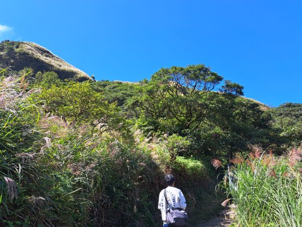 小百岳集起來大屯主峰，七星峰主峰，東峰步道3135727