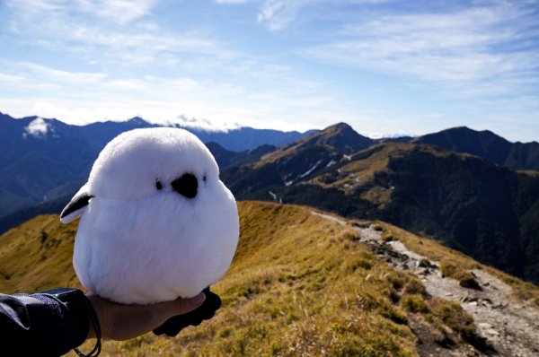 合歡北峰 新手百岳2970193