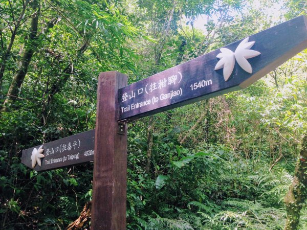 淡蘭古道中路【崩山坑-石空段】640668