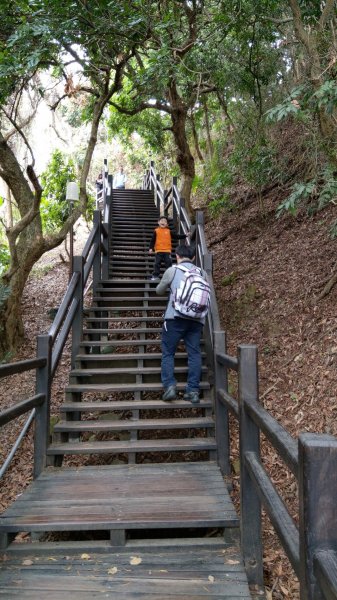 大坑9號9-1步道819542