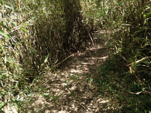 北一段(03/14)多加屯山 2025_0906~132885272