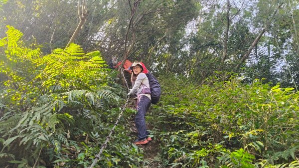 雙石大O繞縱走1150222 年初六3004540