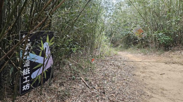 20251226糖塔山-埤塘窩山-石頭坑山2969766