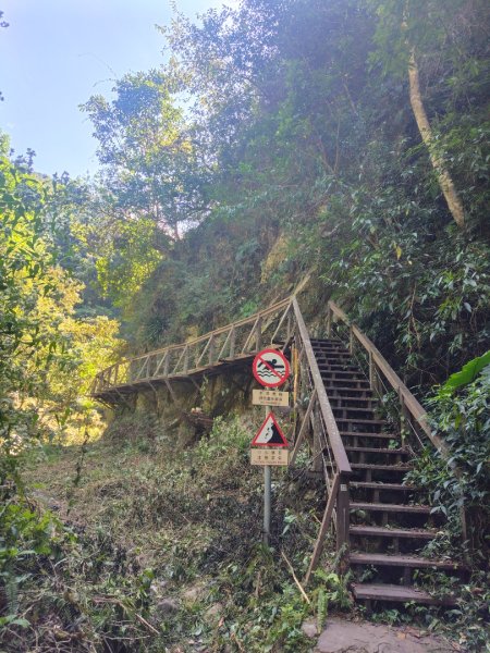 唐麻丹山 蝴蝶谷2918978