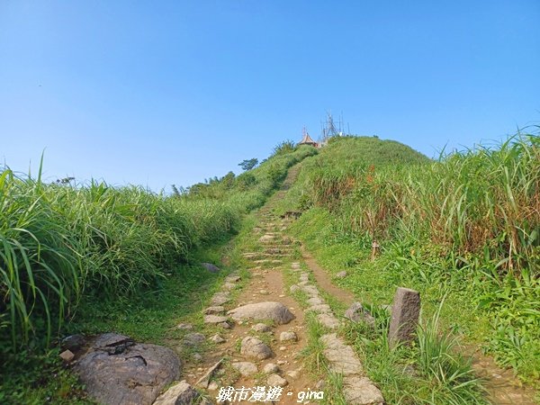 【新北瑞芳】黃金山城好展望。 小百岳基隆山x九份老街2847165