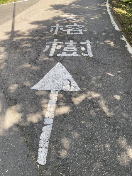 2025微笑山線大縱走尋寶集章任務-Ep.02【大棟山系】百年大榕樹2884759