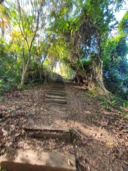 【南投信義】獵人古道連走瓊山1540065