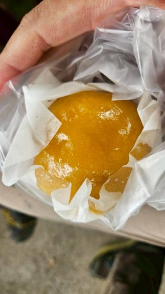 20251026白沙屯山-新埔車站-秋茂園-通宵日落大道觀景台-塗崁頂山主峰西南峰2925309