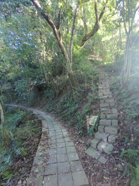 2025.11.15－鳴鳳古道2942997