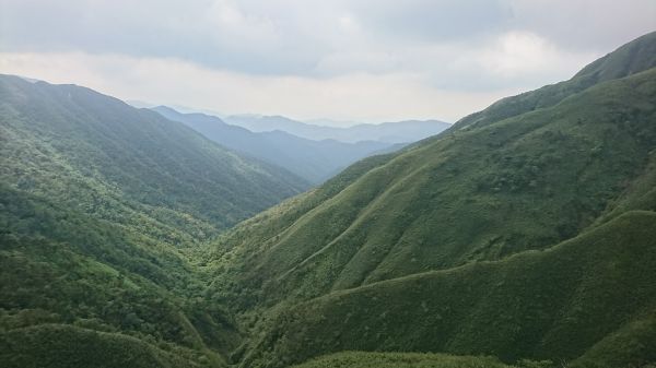 聖母山莊歩道 106.07.10(一)151775