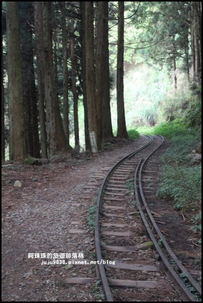 消失的阿里山眠月線802001