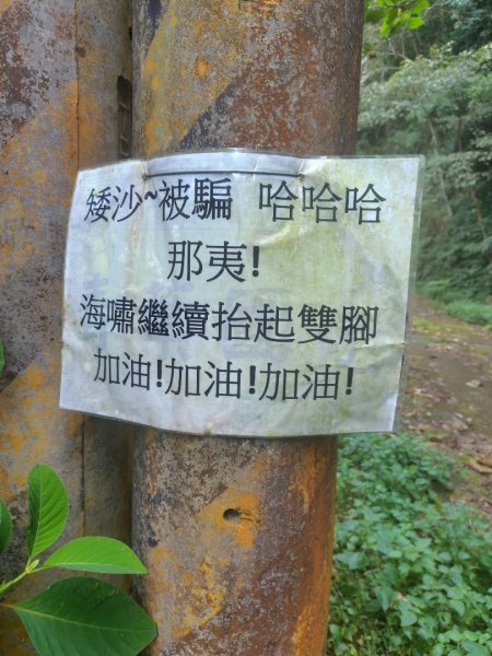 多納六秀 京大山2957611