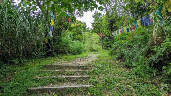 四分尾山,勤進路2515125