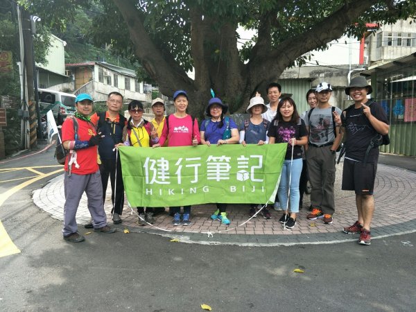 20181006 健筆淨山牡丹心448841