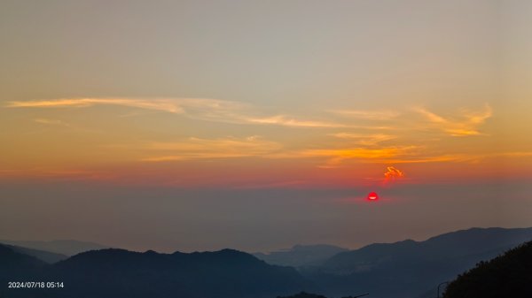 雲山水花鳥蝶 - 天龍國阿伯的日常7/18 & 21、22、292553977