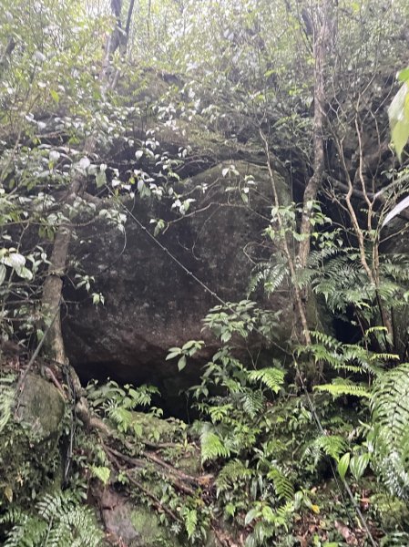 台北大縱走第四段2798712