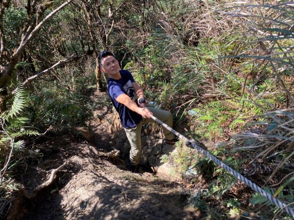 北插天山.赫威山.多崖山.神木群【天堂與地獄並存的神級路線】2390787