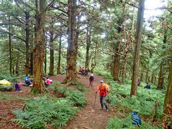 大雪山大崠山避暑趣2019/7/21634460