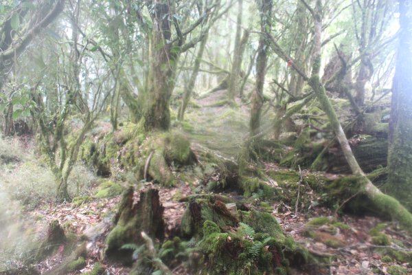 20240210高雄斯拉巴庫山2431567