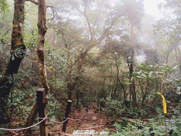 【新竹。北埔】怡然悠靜。 小百岳集起來。 編號30小百岳-五指山