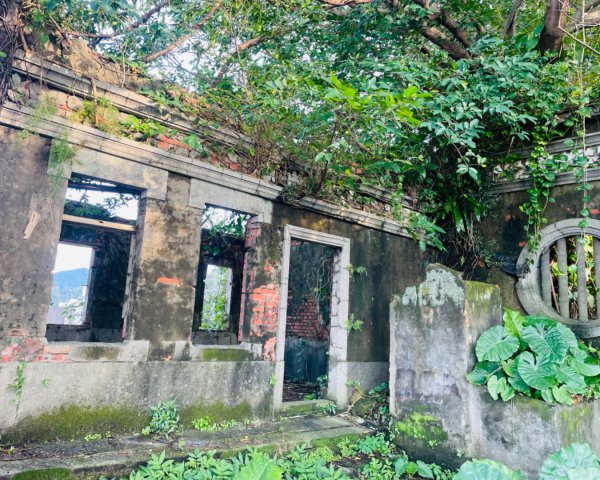 基隆尋找7隻傘人家族2712728