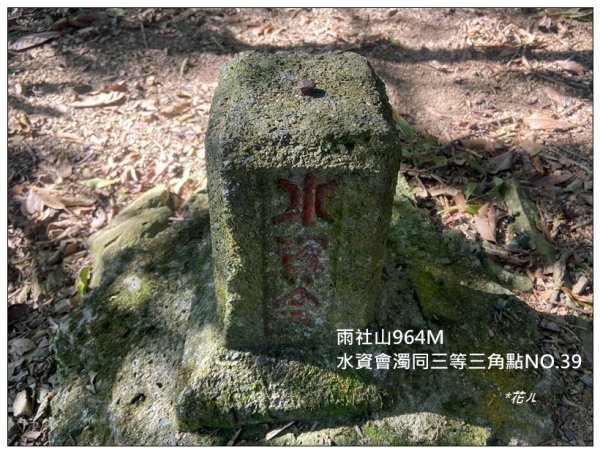 逐鹿古道、雨社山(南投、魚池)2667428
