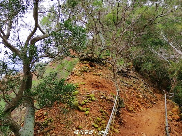 苗栗三義~拍照要遠離懸崖邊~小百岳火炎山1206297