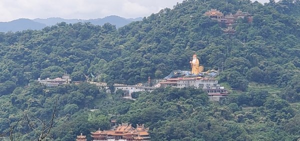 2020-05-30圓通寺登山步道(南勢角山)1386276