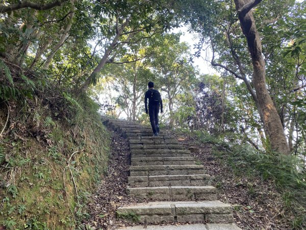 四獸山健走紀錄｜冬日九五峰健走｜福德街51巷起登 × 豹山溪步道下山2985883