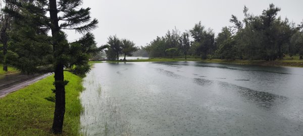 台東．森林公園202508013019164