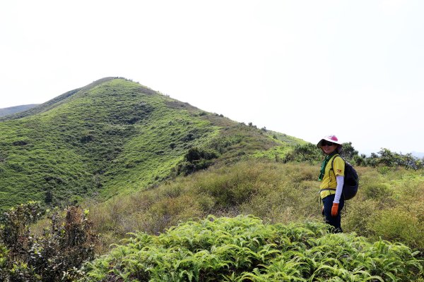 HK - 鐵坑，蛇嶺1268066