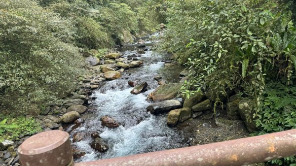 宜蘭九寮溪生態遊憩區-自然步道2451571