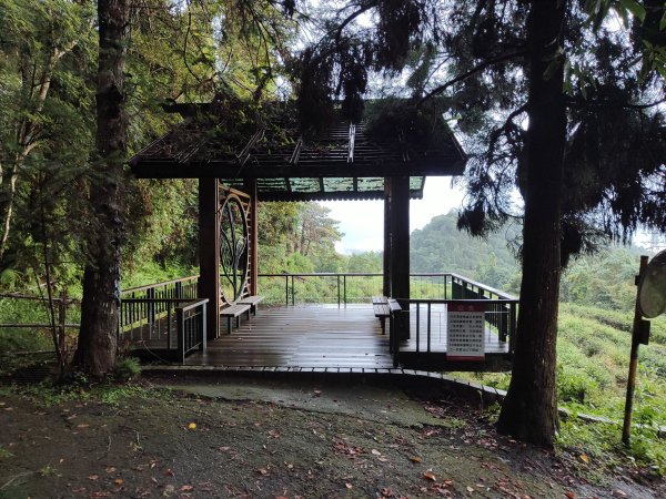 貓囒山步道2850523