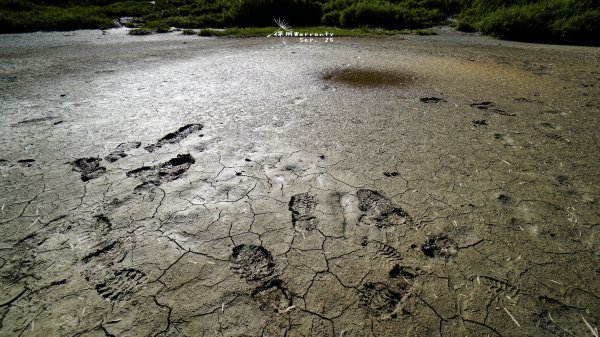 閂山之門.鈴鳴之鑰660273