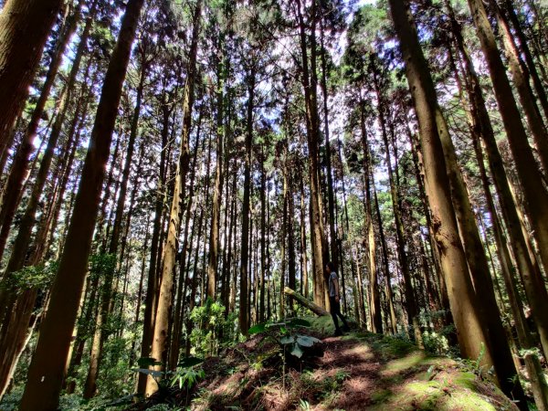 2020.05.02加里山 鹿場登山口來946336