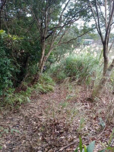 雷公埤山-鱷魚島觀景-小格頭獅頭山2001522