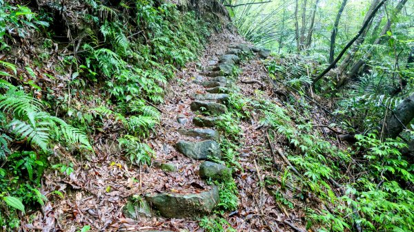 石笋古道,焿子寮古道,松子嶺古道2798336