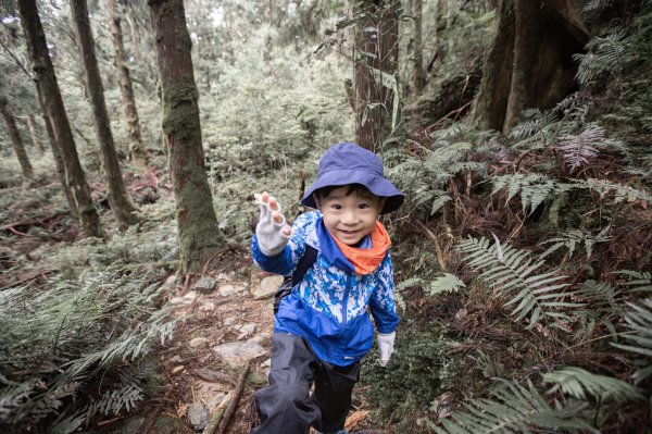 四歲小樂的第八座小百岳-宜蘭三星山978685