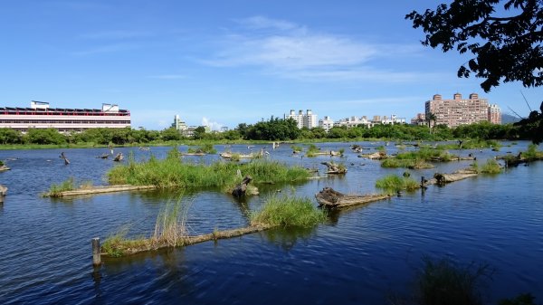 冬山河生態綠舟,羅東林業文化園區2230217