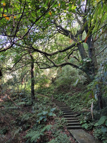 2023.12.14 紅淡山2826458